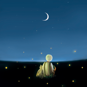 欧美老年夫妻裸体海滩视频
