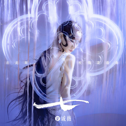 欧美老年夫妻裸体海滩视频
